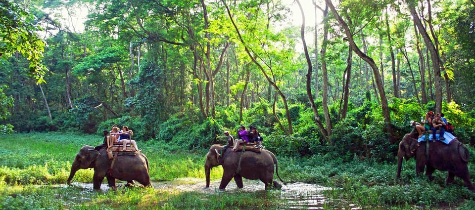 From Pokhara: 2 Night 3 Day Chitwan Wildlife Jungle Tour - Daily Itinerary