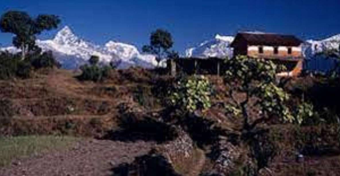 From Pokhara: 2 Night 3 Day Panchase Hill Trek (Private) - Detailed Itinerary