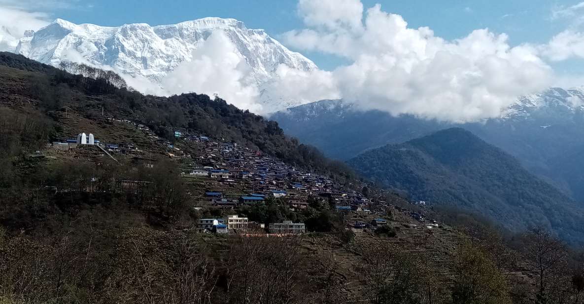 From Pokhara: 2 Nights 3 Days Mardi Himal Trek - Itinerary Breakdown