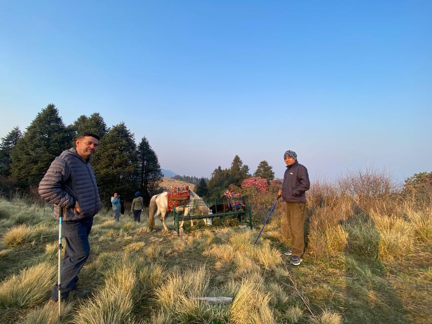 From Pokhara: 3 Day Short Poon Hill With Thapla Danda Trek - Detailed Itinerary