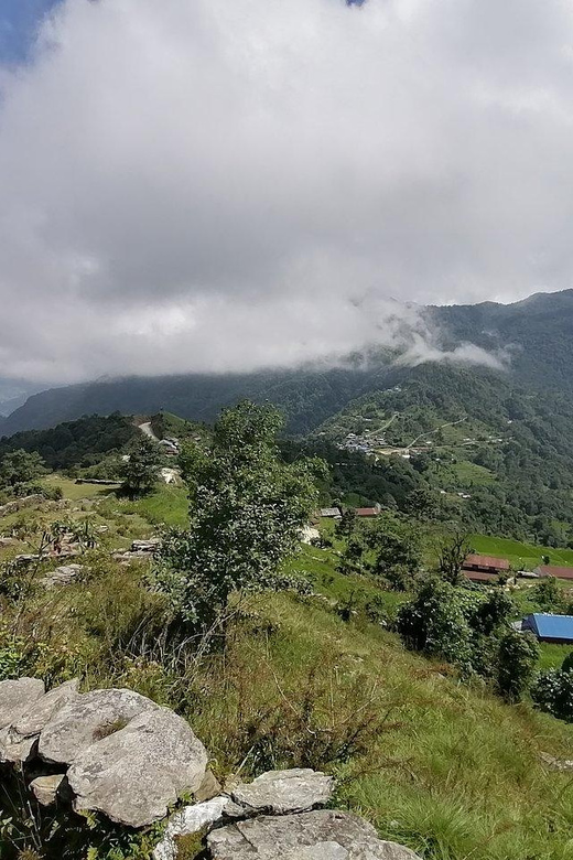 From Pokhara: 3 Night 4 Days Mohare Danda & Poon Hill Trek - Best Seasons to Trek