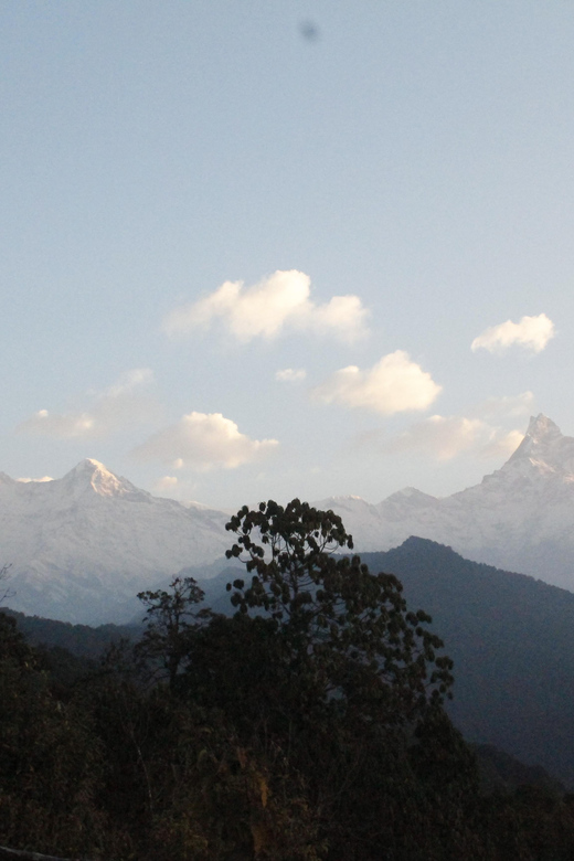 From Pokhara: 9 Days Langtang Gosaikunda Trek - Inclusions and Services