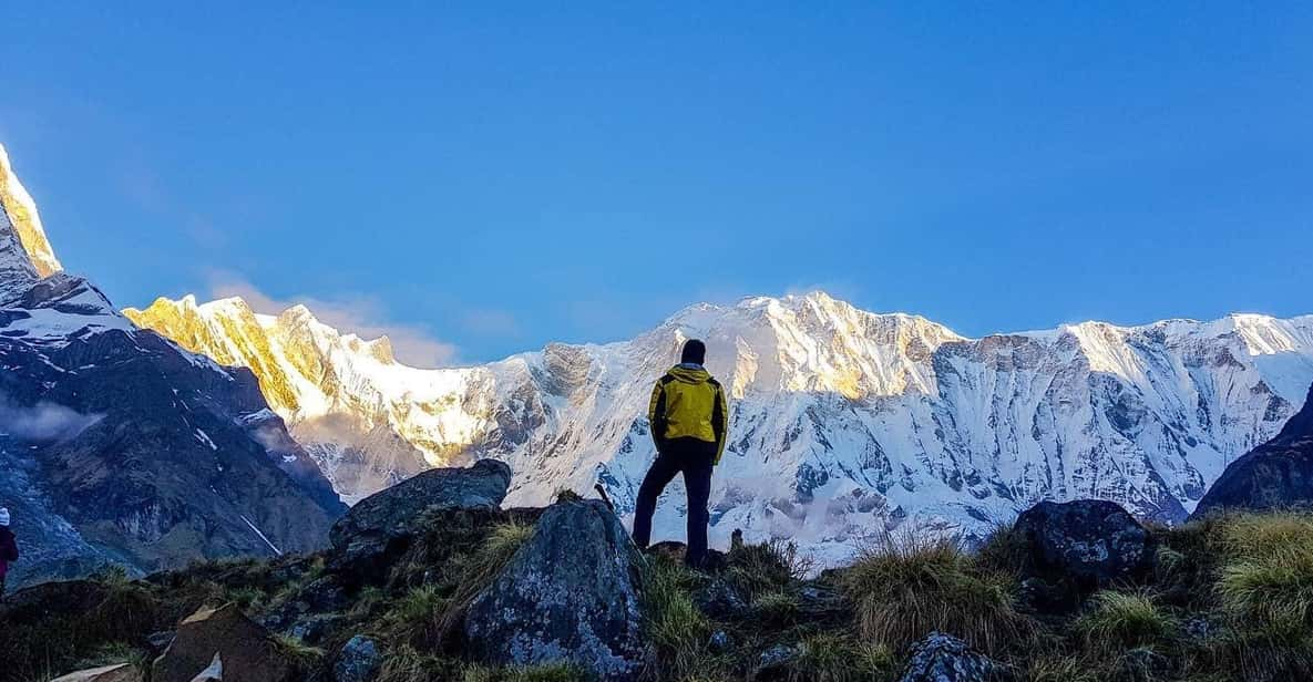 From Pokhara: Annapurna Base Camp Private Trekking - 5 Days - Pricing and Booking Details