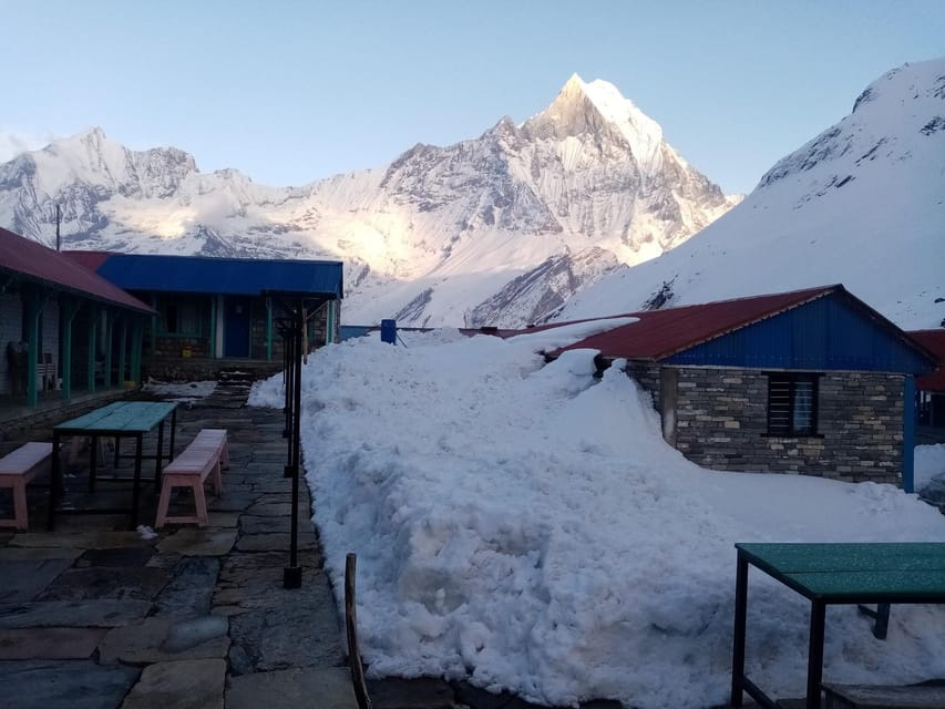 From Pokhara: Annapurna Base Camp Trek 7-Day Tour - Trekking Experience and Highlights