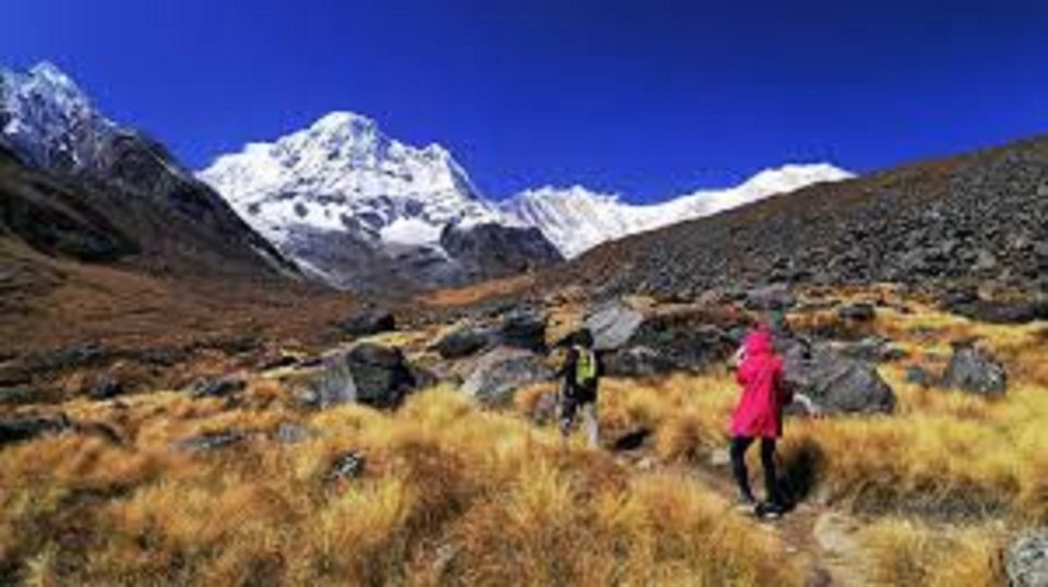 From Pokhara, Budget: 7 Day Annapurna Base Camp Trek - Detailed Itinerary