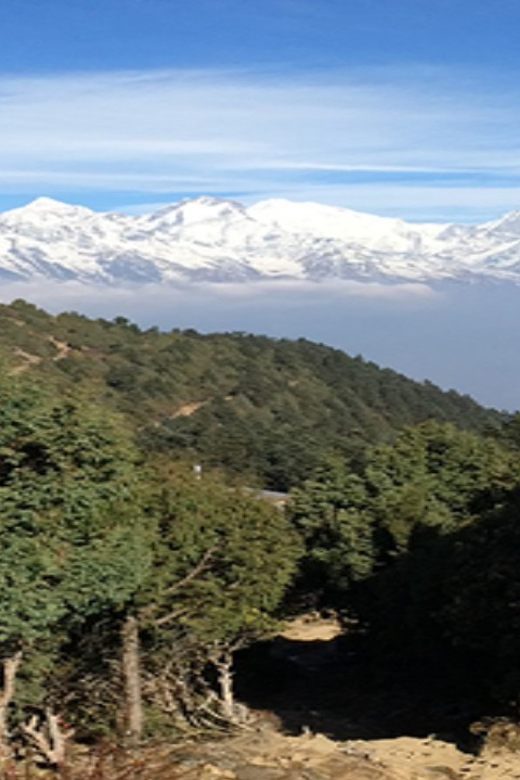 From Pokhara: Budget 7 Day Langtang Valley Trek - Trek Experience Highlights