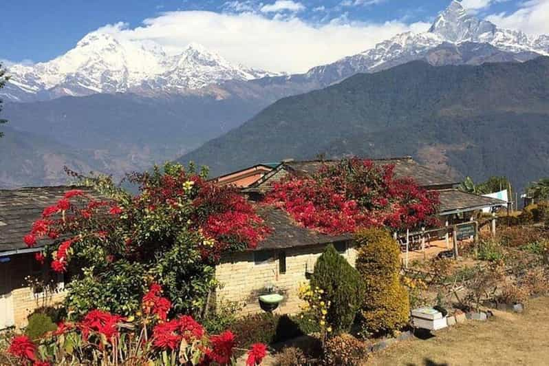 From Pokhara: Full Day Hiking to Astam Village - Journey to the Trailhead