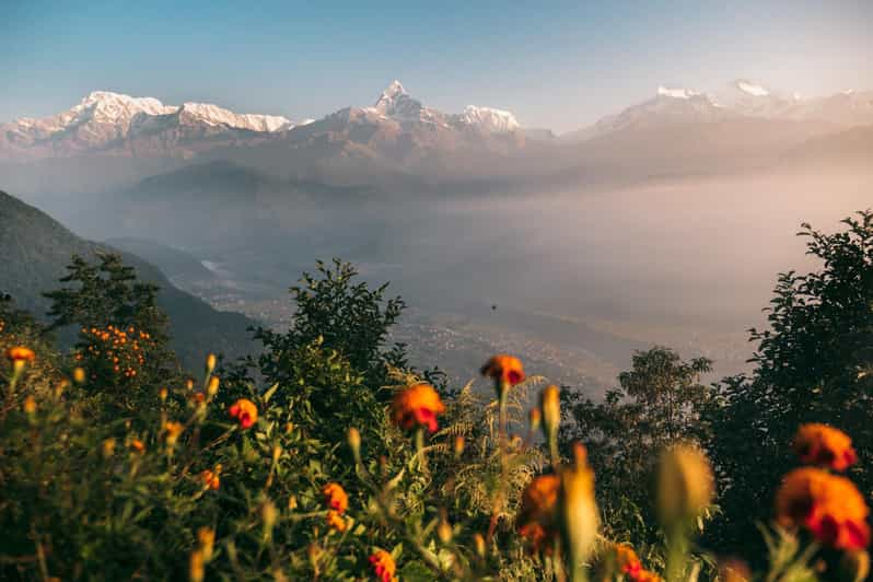 From Pokhara: Group Joining Sarangkot Sunrise Himalayas Tour - Itinerary Details