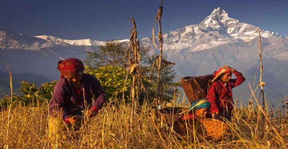 From Pokhara: Guided Day Hike With Annapurna Panoramic View - Itinerary Details