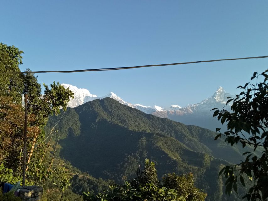 From Pokhara: Short Trek 1 Night 2 Days Dhampus Trek - Experience the Trek