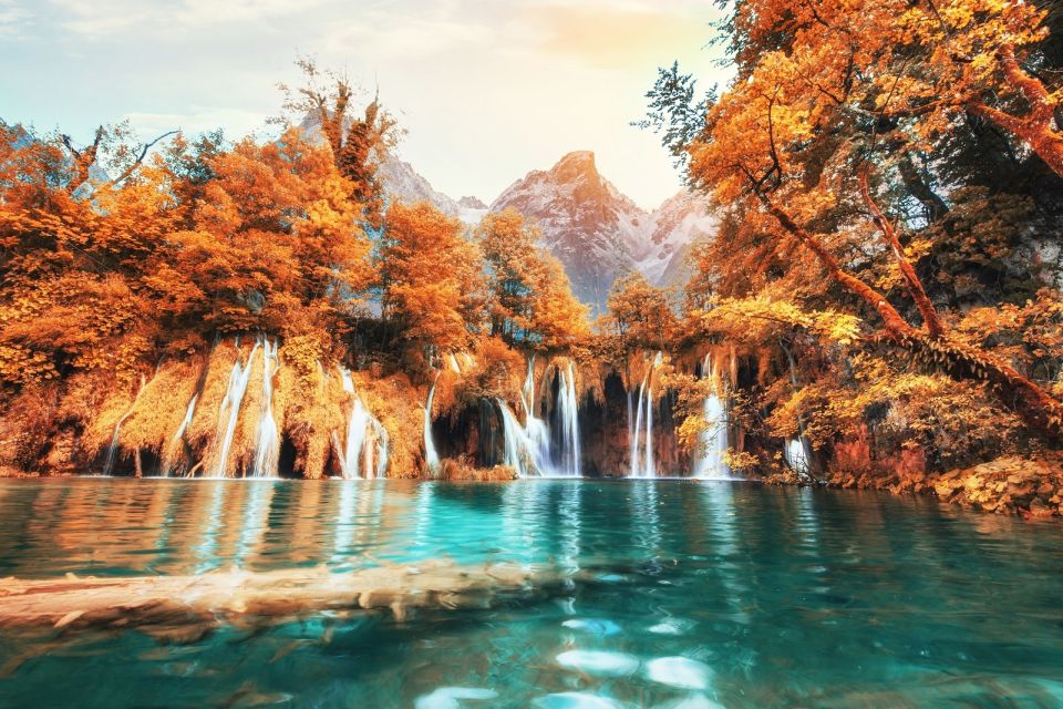 From Porec and Rovinj: Full-Day Plitvice Lakes Guided Trip - Booking Process