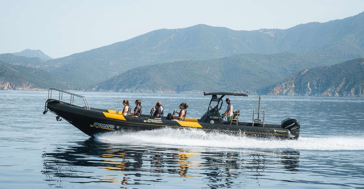 From Porto: Piana Creeks and Scandola Semi-Rigid Boat Tour - Experience Highlights and Activities