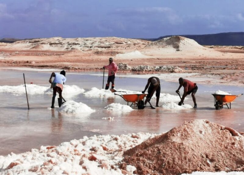 From Praia: Full-Day Sal Island Tour - Itinerary Highlights