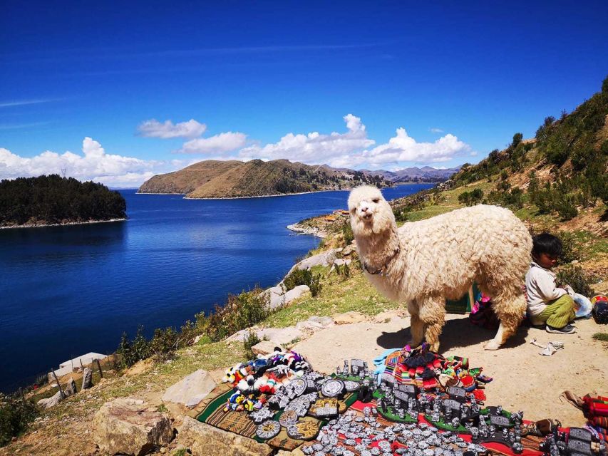 From Puno: Sun Island and Copacabana 1-Day Tour - Itinerary Highlights