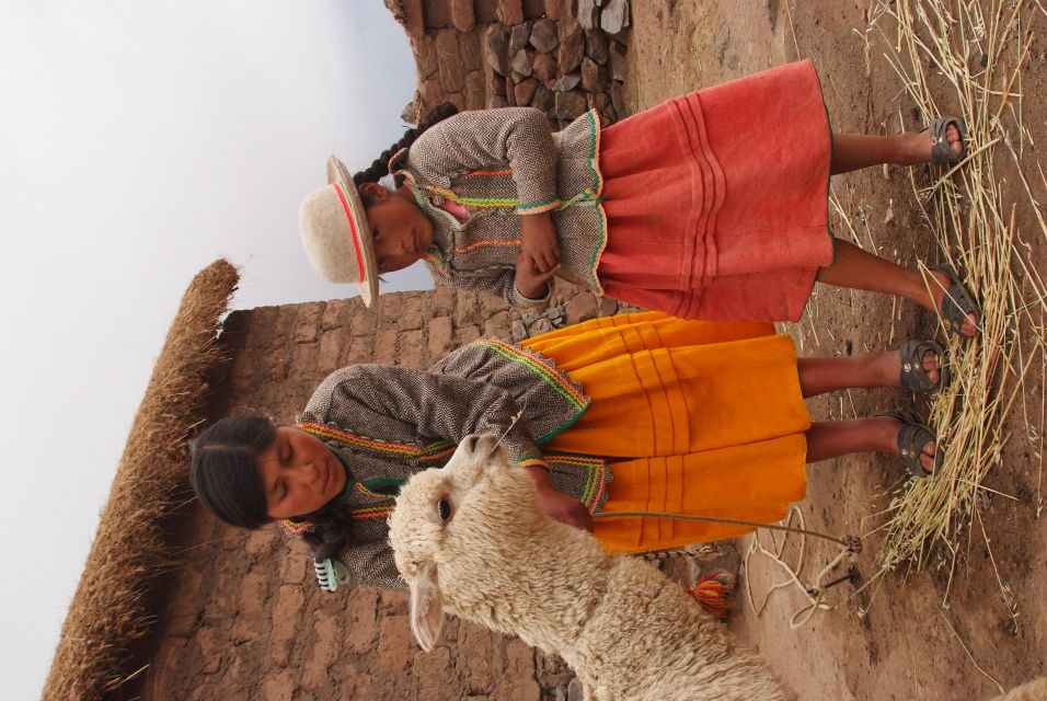 From Puno: Tour to Sillustani Pre Inca Tombs - Location and Accessibility