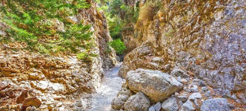 From Rethymno: Imbros Gorge & Libyan Guided Sea Tour - Itinerary Highlights