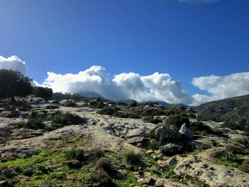 From Rethymno: Private Day Trip to 2 Unknown Gorges & Snacks - Experience Highlights