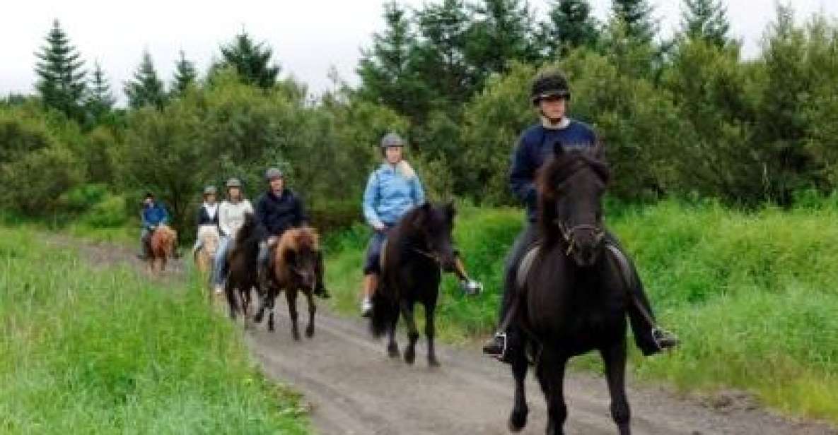 From Reykjavik: Full-Day Horse Riding & Golden Circle Tour - Itinerary Highlights