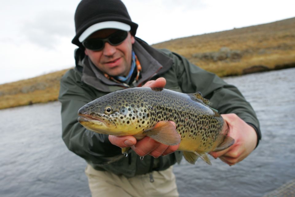 From Reykjavik: Lake and River Fishing Tour - Itinerary Details