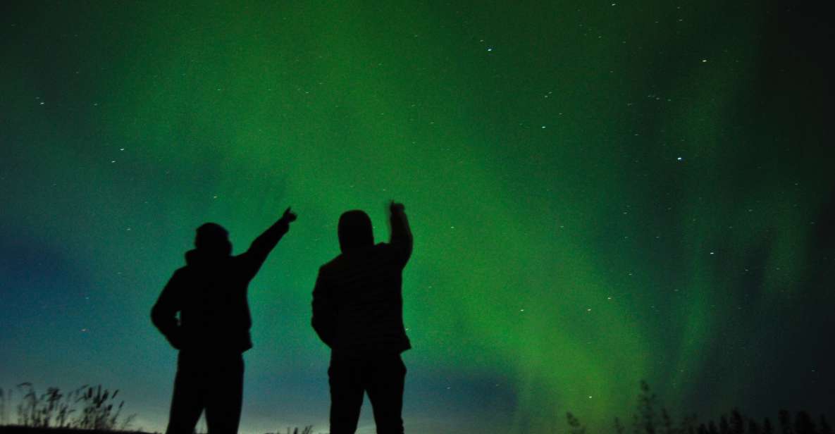 From Reykjavík: Northern Lights Chase With Hot Chocolate - Itinerary and Experience