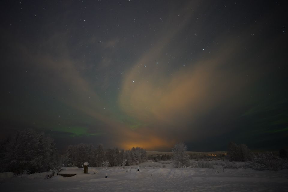 From Rovaniemi: Aurora Dreamscape Tour in the Wild - Highlights of the Experience