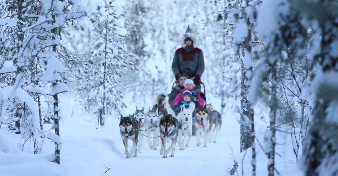 From Rovaniemi: Self-Driven 10km Husky Sled Ride - Experience Highlights