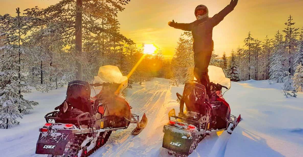 From Rovaniemi: Snowmobile Safari Into Arctic Wilderness - Highlights of the Experience