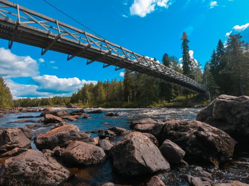 From Rovaniemi: Vikaköngäs Forest Hiking Tour With BBQ - Experience Highlights