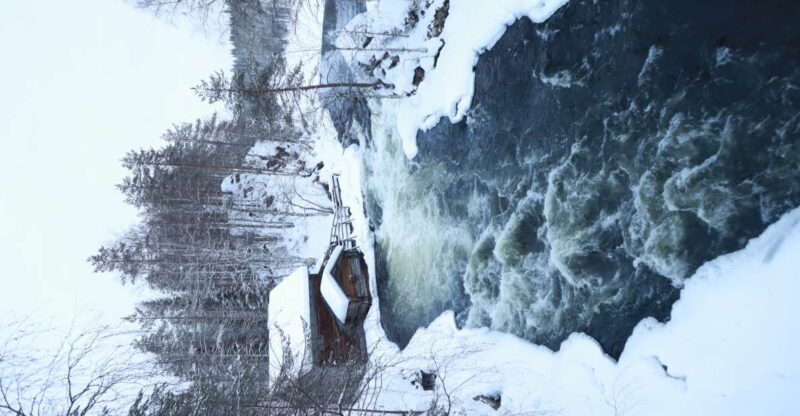 From Ruka: Snowshoeing in Oulanka National Park - Pricing and Reservation Details