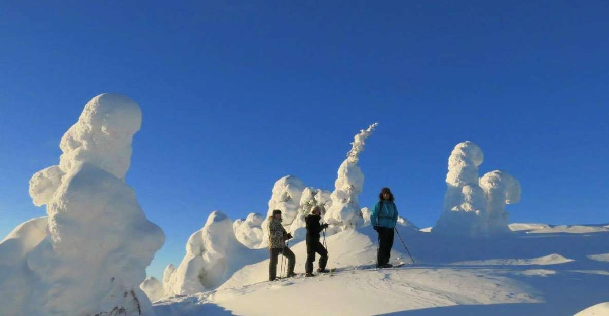 From Ruka: Snowshoeing in Riisitunturi National Park - Pricing Details