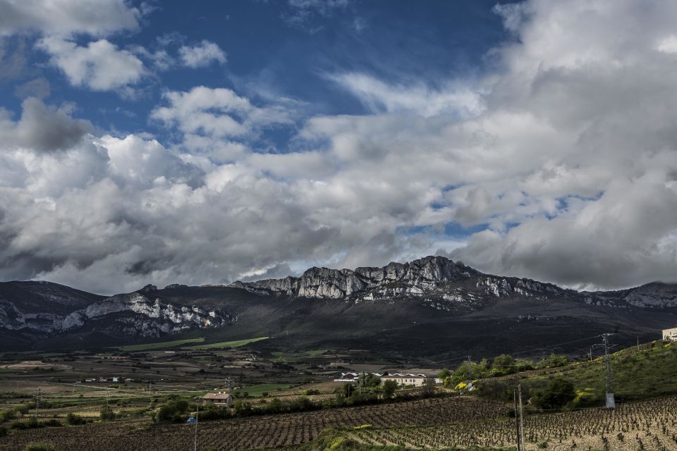 From San Sebastian/Bilbao/Vitoria: La Rioja Wineries Tour - Experience Highlights