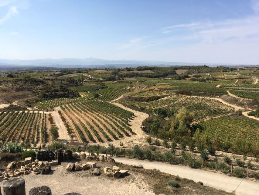 From San Sebastian/Bilbao/Vitoria: Rioja Wine Tour W/ Lunch - Experience Highlights