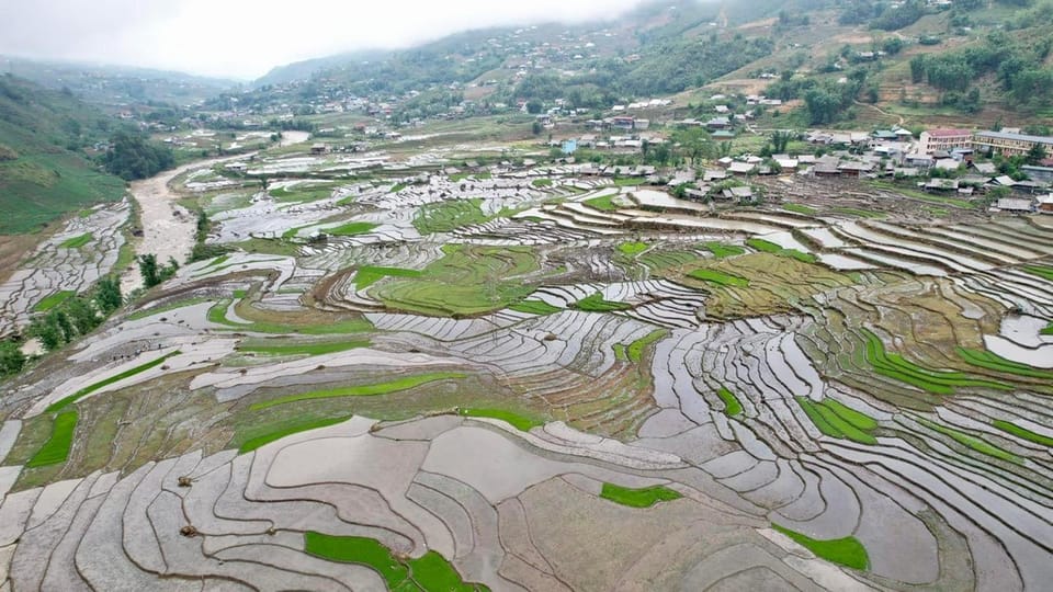 From Sapa - 1D Trek: Walk Through Bamboo Forest With Lunch - Itinerary Highlights