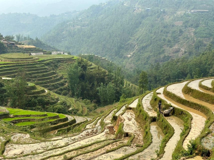 From Sapa: Lu Khau and Xa Xeng Villages 1 Day Private Tour - Experience and Activities