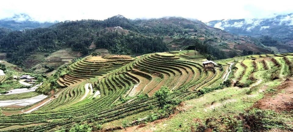 From Sapa: Suoi Ho, Lu Khau and Xa Xeng Villages 1 Day Trek - Trek Experience and Activities