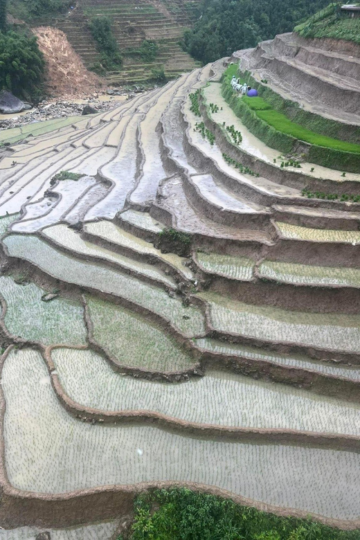 From Sapa: Trek 2 Day - Rice Terrace - Homestay in Ta Van - Itinerary Details