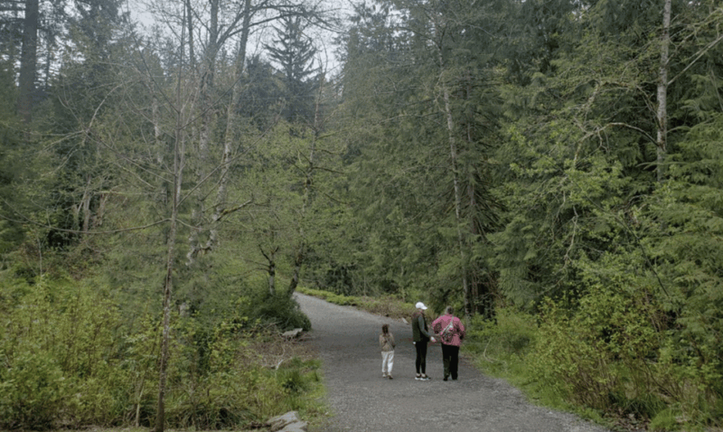 From Seattle: Cascades Hiking & Snoqualmie Falls Tour - Accessibility Features