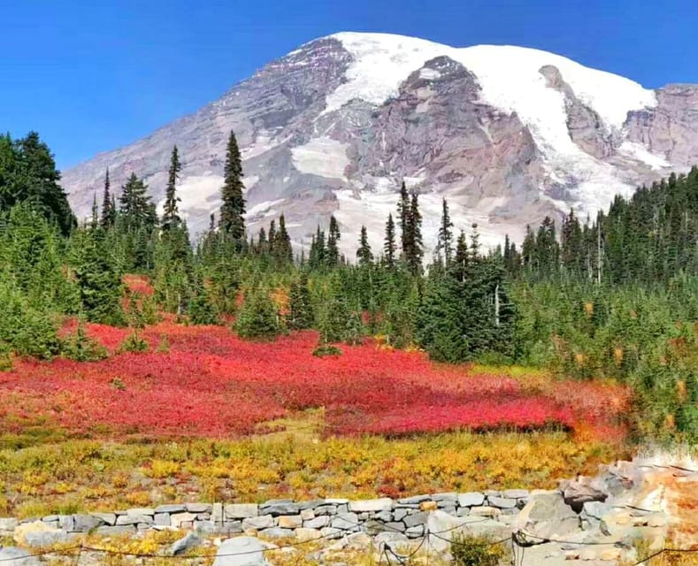 From Seattle: Mount Rainier National Park 1-Day Tour - Itinerary Details