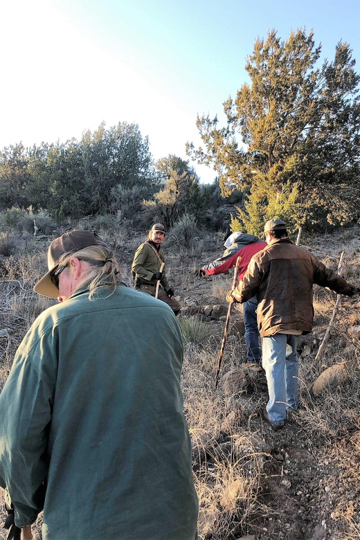 From Sedona: Archeology and Nature Hike - Highlights and Attractions