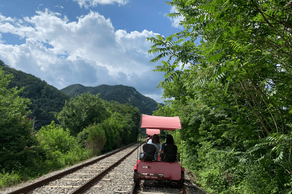 From Seoul: Alpaca Farm With Rail Bike/ Luge Racing - Main Activities: Alpaca Farm and Attractions