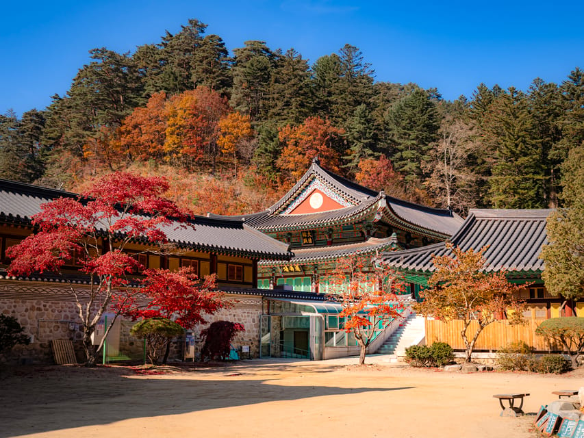 From Seoul: Odaesan or Daedunsan Park Fall Foliage Day Tour - Inclusions