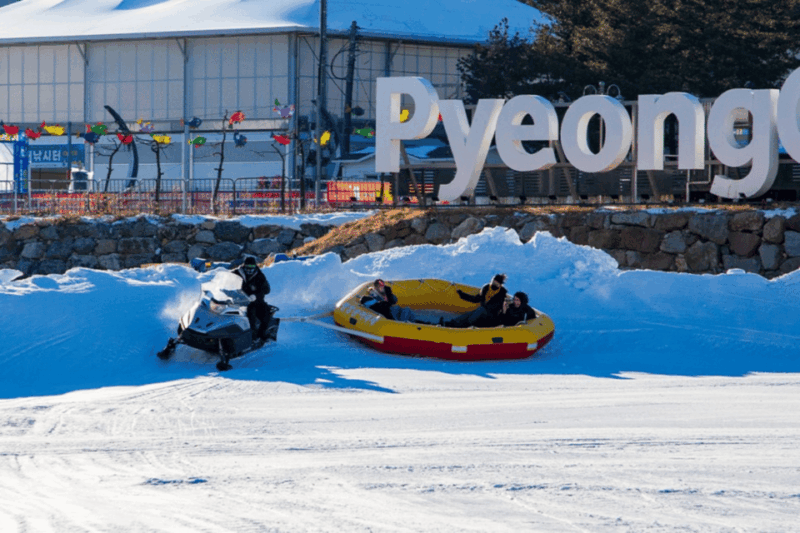 From Seoul: Pyeongchang Trout Festival - Activities and Experiences