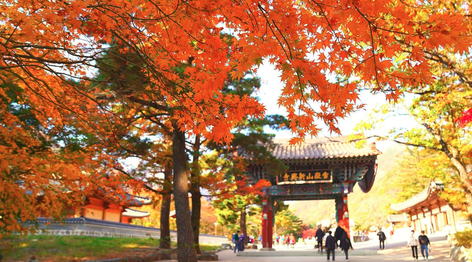 From Seoul: Seoraksan Maple Mountain With Cable Car - Itinerary and Experience