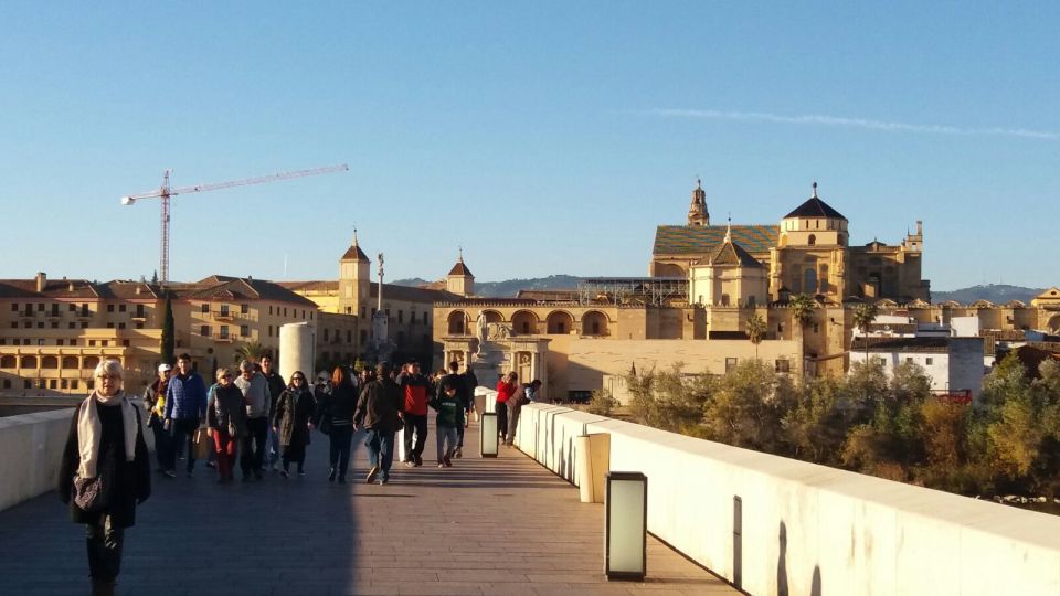 From Seville: Full-Day Essential Córdoba Tour - Experience Highlights