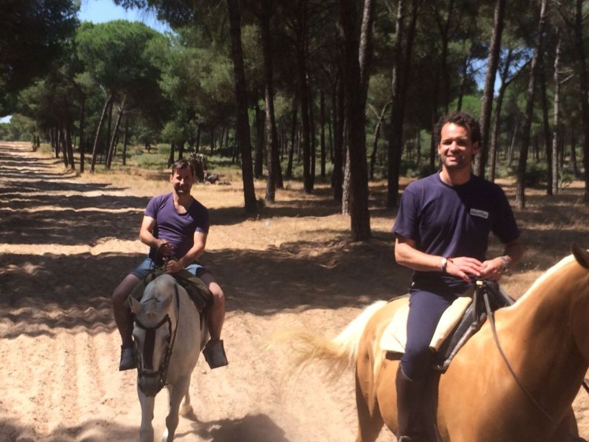 From Seville: Horseback Riding Experience in Aljarafe - Andalusian Horse Riding