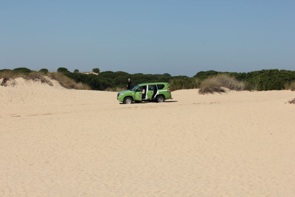 From Seville: Private Tour Doñana Park, El Rocío & Beach - Itinerary Details