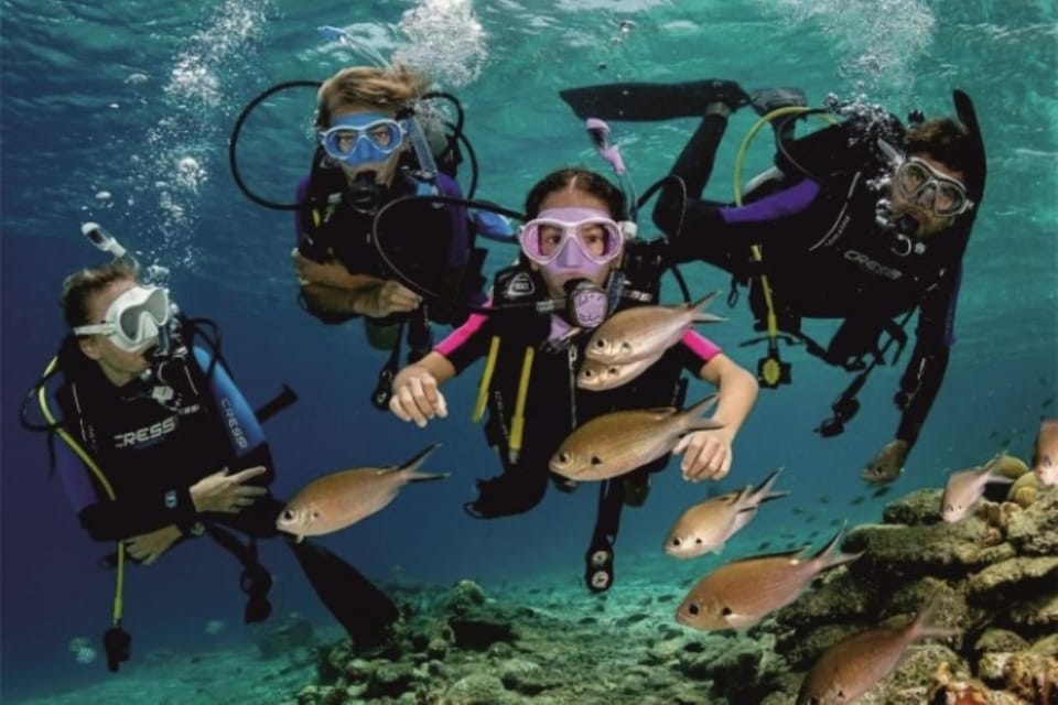 From Side: Scuba Diving: Explore the Depths - Experience Highlights