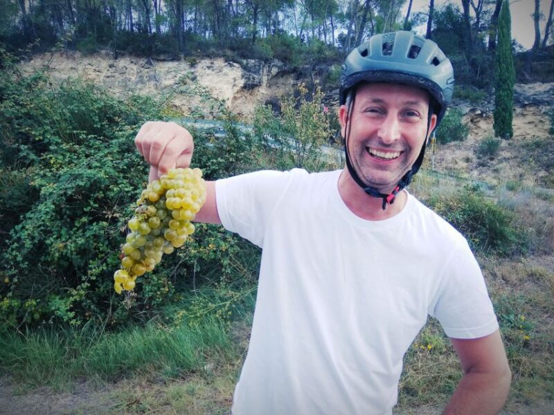 From Sitges: Cycling Tour With Winery Visit and Tasting - Experience Highlights