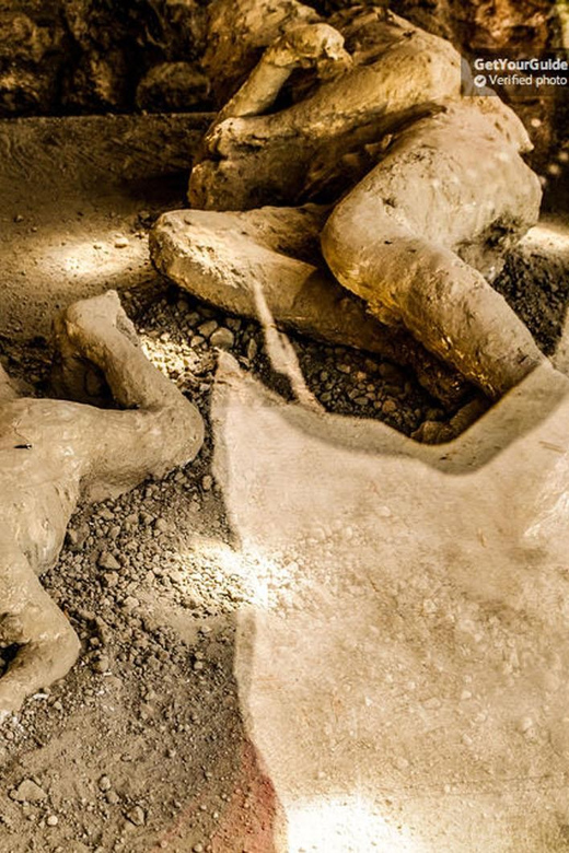 From Sorrento Cruise Terminal: Half-Day Pompeii Guided Tour - Cancellation Policy