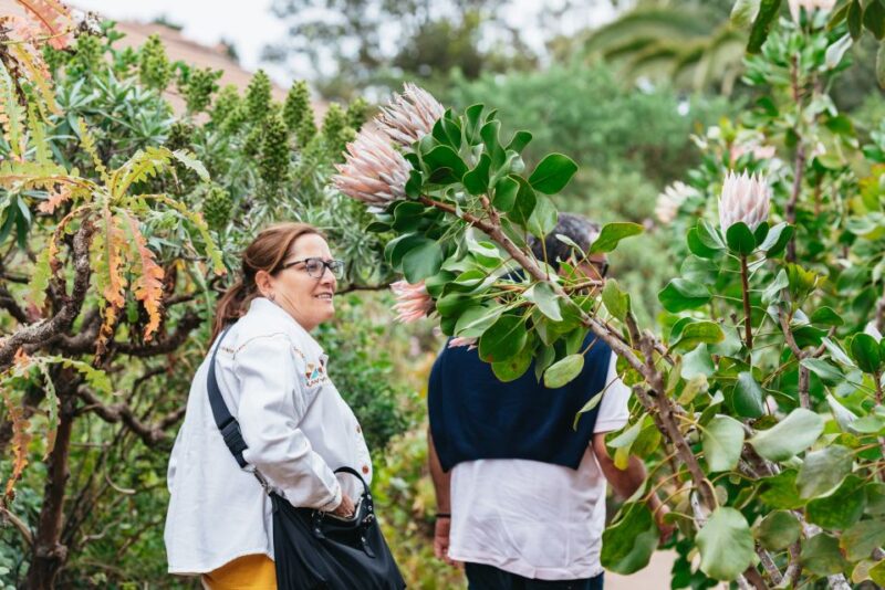 From South Tenerife: La Gomera Island Day Trip With Lunch - Itinerary Highlights